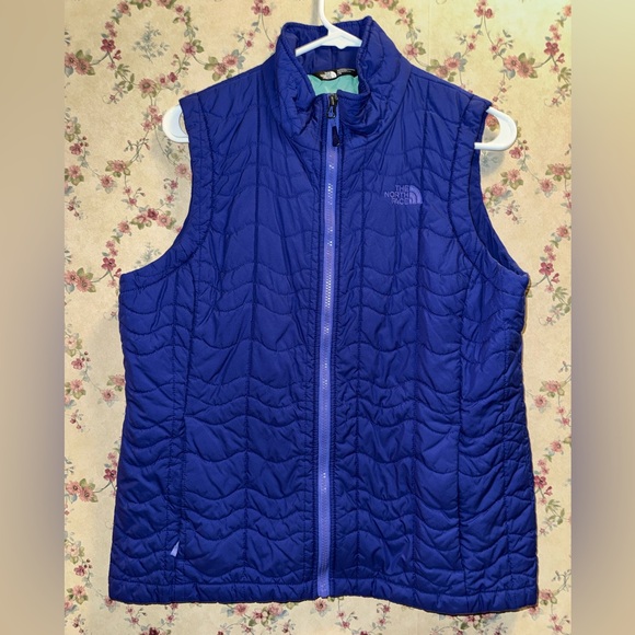 The North Face Jackets & Blazers - North Face Vest